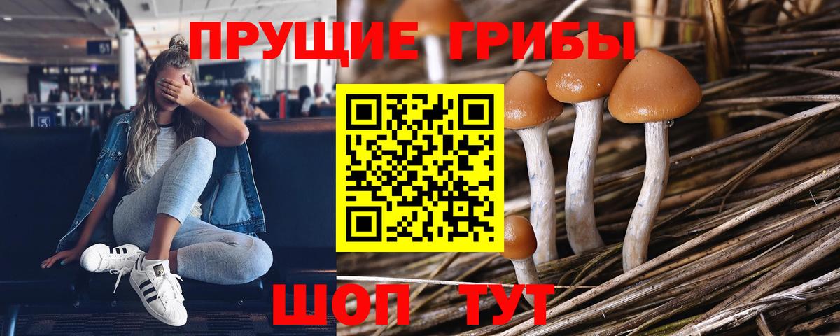 Псилоцибиновые грибы мицелий Нефтекумск