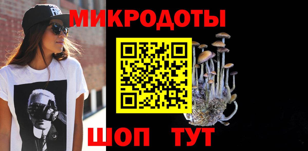 Псилоцибиновые грибы Cubensis  Вход с VPN  Нефтекумск  Псилоцибиновые грибы Psilocybe 